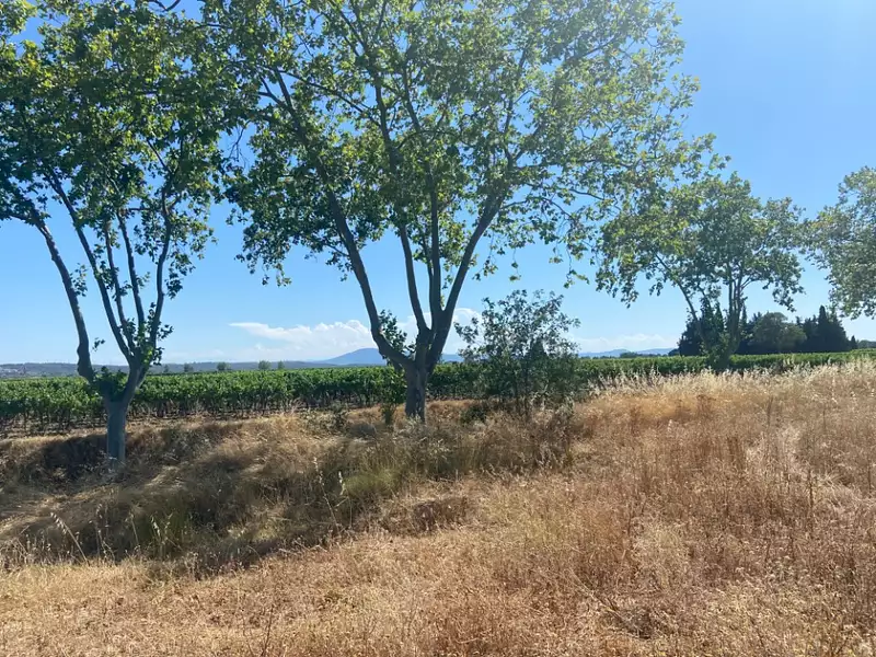 Maison neuve, 90 m² - Olonzac (34210)