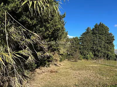 Maison neuve, 90 m²