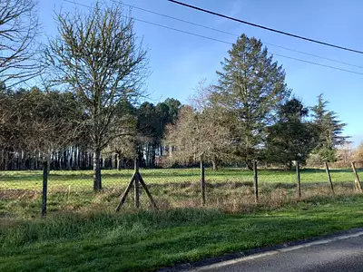 Maison neuve, 125 m²