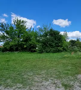 Maison neuve, 100 m²