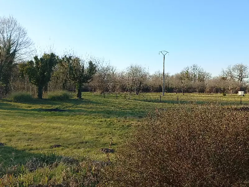 Terrain à bâtir, 1 000 m² - Ménesplet (24700)
