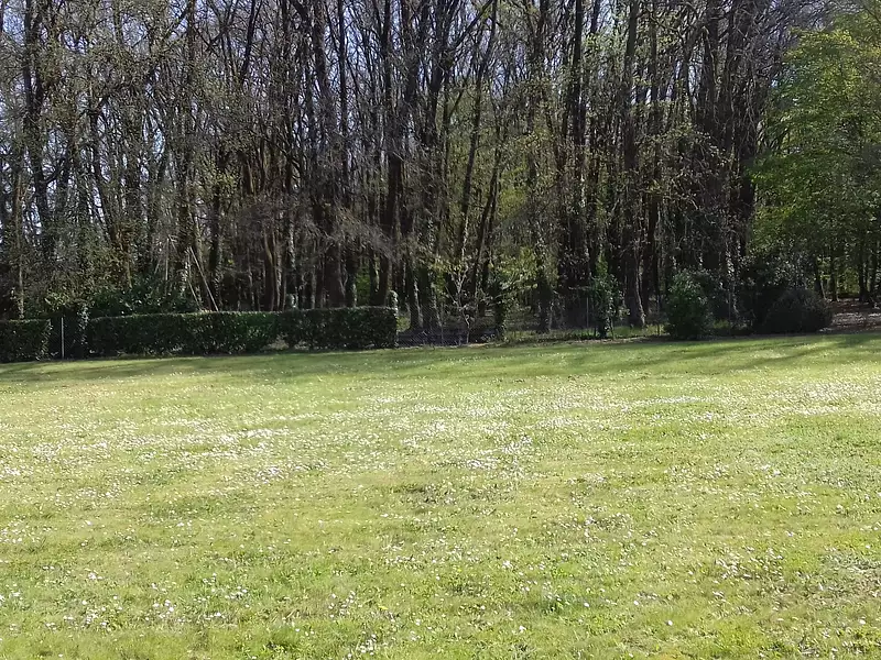 Terrain à bâtir, 1 315 m² - Chauvigny (86300)