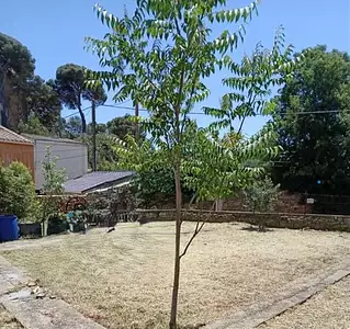 Maison neuve, 85 m²