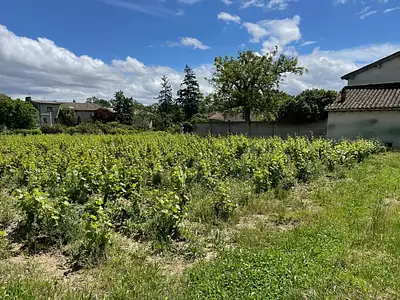 Terrain à bâtir, 1 470 m²