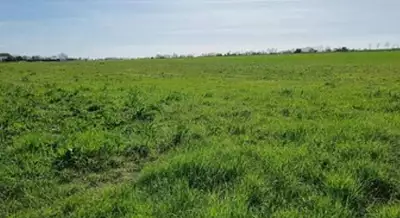 Maison neuve, 103 m²