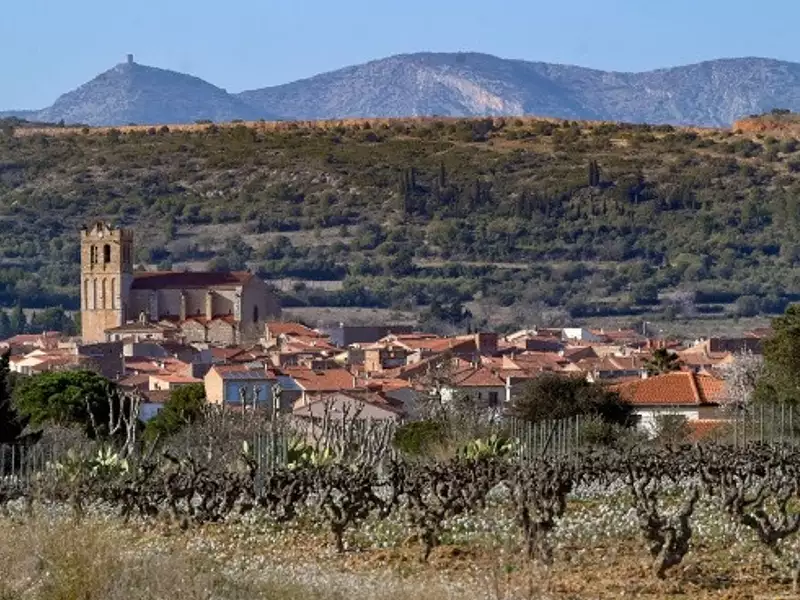 Terrain à bâtir, 775 m² - Baixas (66390)