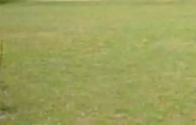 Maison neuve, 81 m²