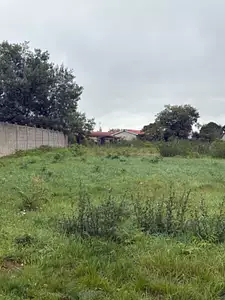 Maison neuve, 100 m²