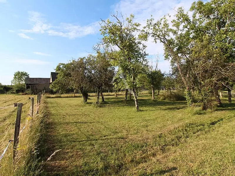 Terrain à bâtir, 980 m² - Monteaux (41150)