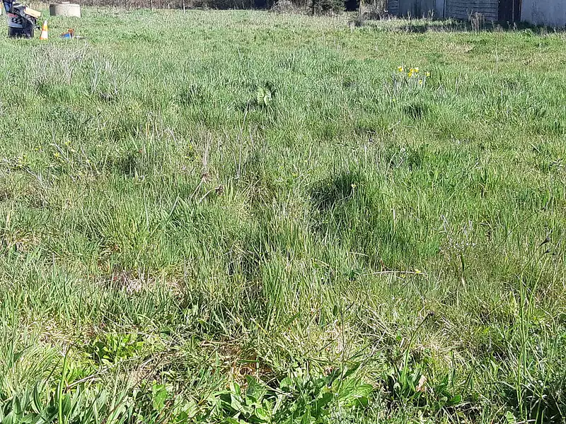 Terrain à bâtir, 451 m² - Crossac (44160)