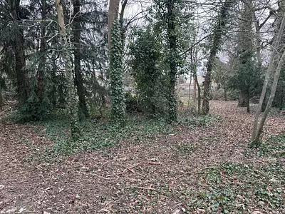 Terrain à bâtir, 328 m²