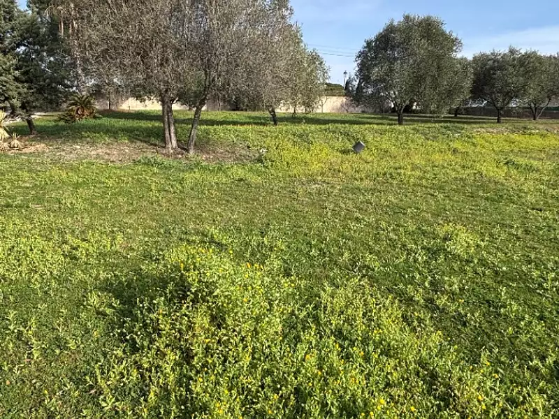 Terrain à bâtir, 631 m² - Puget-sur-Argens (83480)