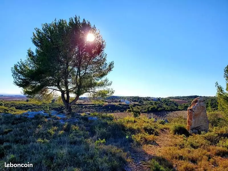 Terrain à bâtir, 544 m² - Cazedarnes (34460)
