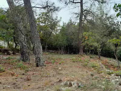 Maison neuve, 80 m²