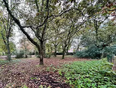 Terrain à bâtir, 655 m²