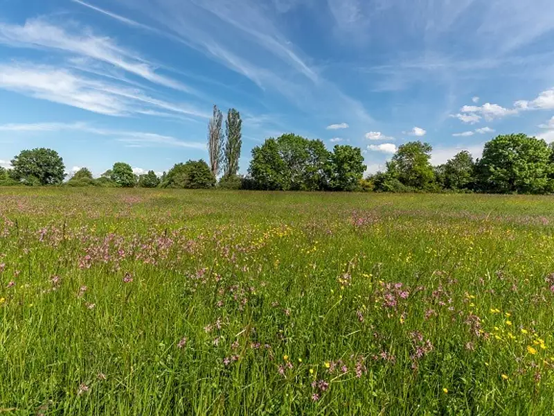 Terrain à bâtir, 620 m² - Semblançay (37360)
