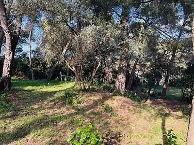 Terrain à bâtir, 500 m²