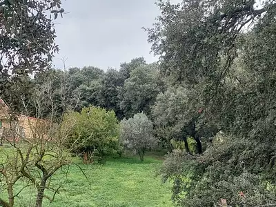 Maison neuve, 110 m²