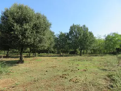 Terrain à bâtir, 273 m²