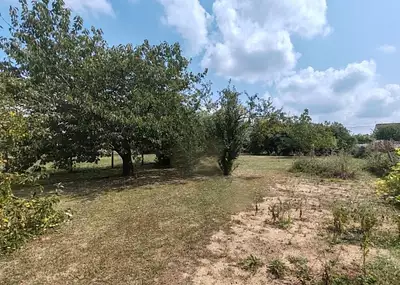 Maison neuve, 80 m²