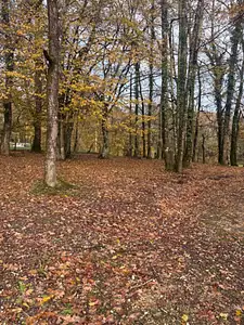 Maison neuve, 100 m²