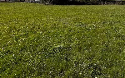 Maison neuve, 115 m²