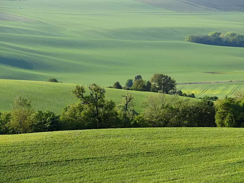 Terrain à bâtir, 1 594 m² - Sadroc (19270)