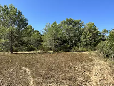 Terrain à bâtir, 2 000 m²