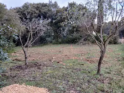 Terrain à bâtir, 445 m²