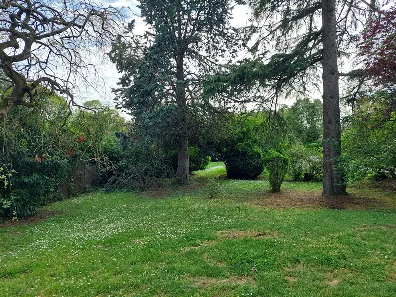 Terrain à bâtir, 559 m² - Montrabé (31850)