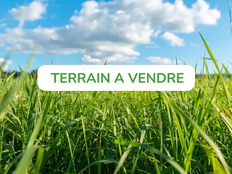 Rue de Thann - Aspach-le-Bas (68700)