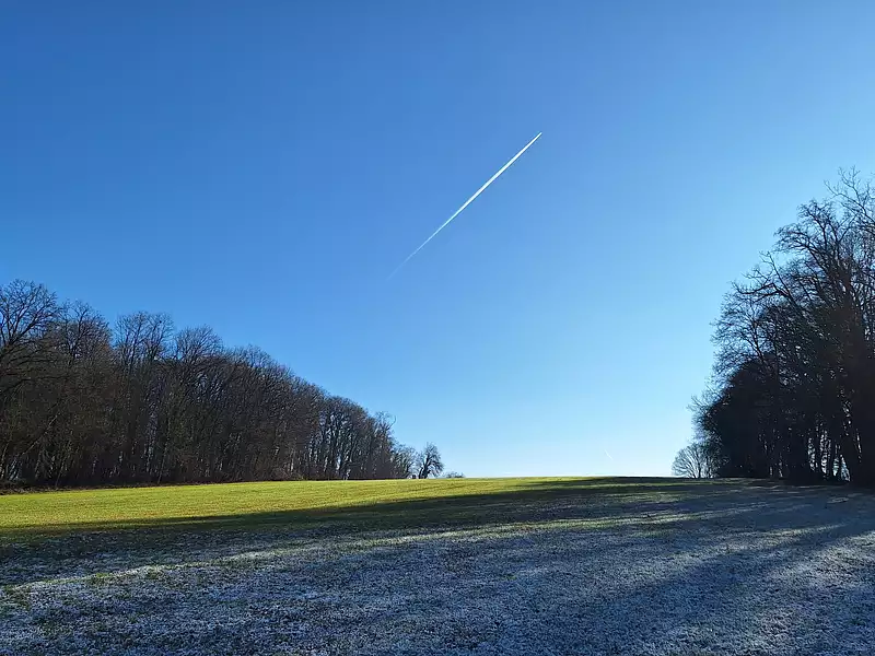 Terrain à bâtir, 766 m² - Wentzwiller (68220)