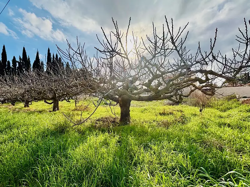 Terrain à bâtir, 711 m² - La Farlède (83210)