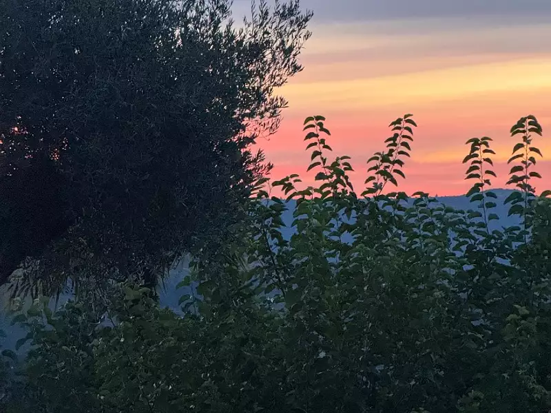 Maison neuve - Châteauneuf-sur-Charente (16120)