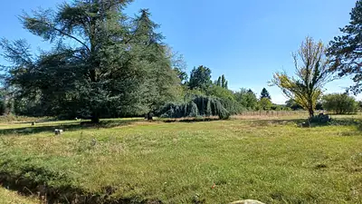 Terrain à bâtir, 2 038 m²