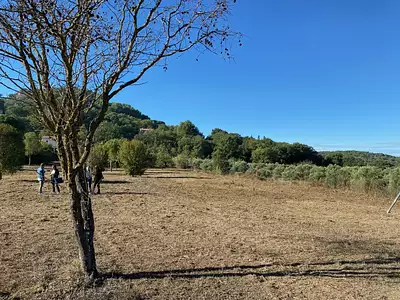 Terrain à bâtir, 310 m²