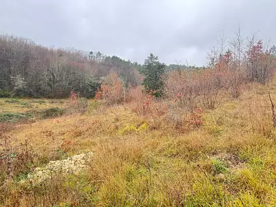 Maison neuve, 106 m²