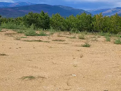 Terrain à bâtir, 479 m²