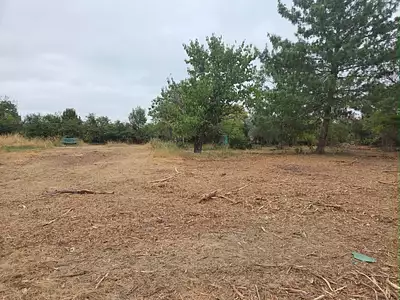 Terrain à bâtir, 550 m²