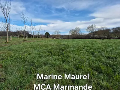 Terrain à bâtir, 3 298 m²