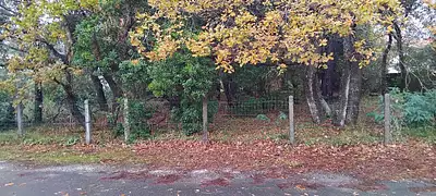 Terrain à bâtir, 555 m²