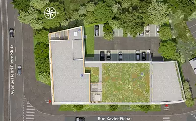 Néméa Le Mans Université