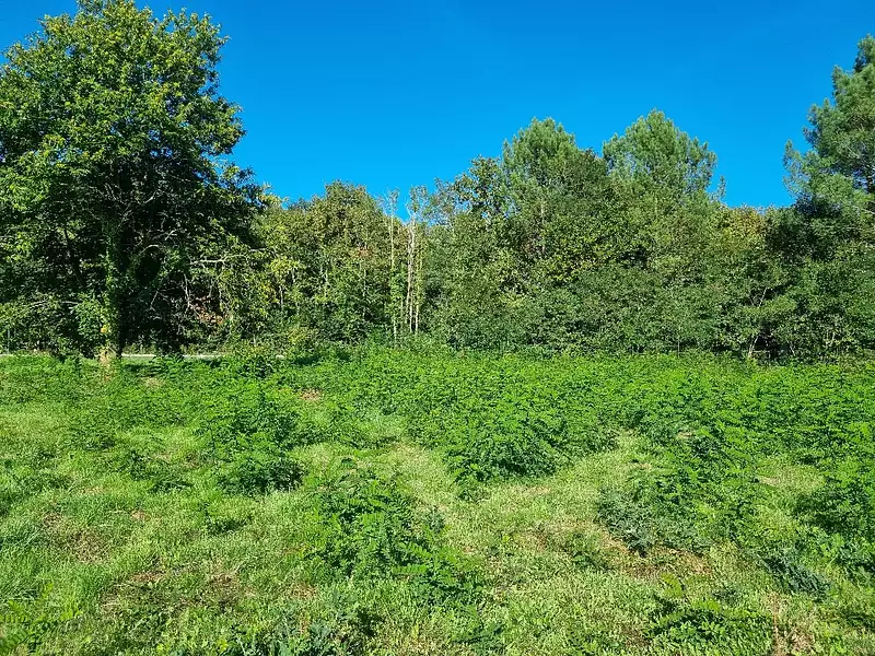 Terrain à bâtir, 1 070 m² - Saint-Aubin-de-Médoc (33160)