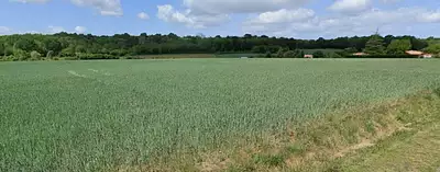 Maison neuve, 60 m²