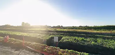 Maison neuve, 71 m²