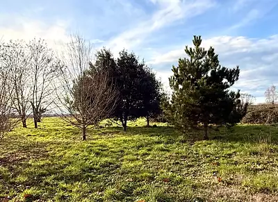 Terrain à bâtir, 900 m²