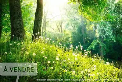 Terrain à bâtir, 436 m²