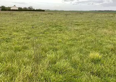 Terrain à bâtir, 5 337 m²