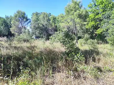 Maison neuve, 140 m²