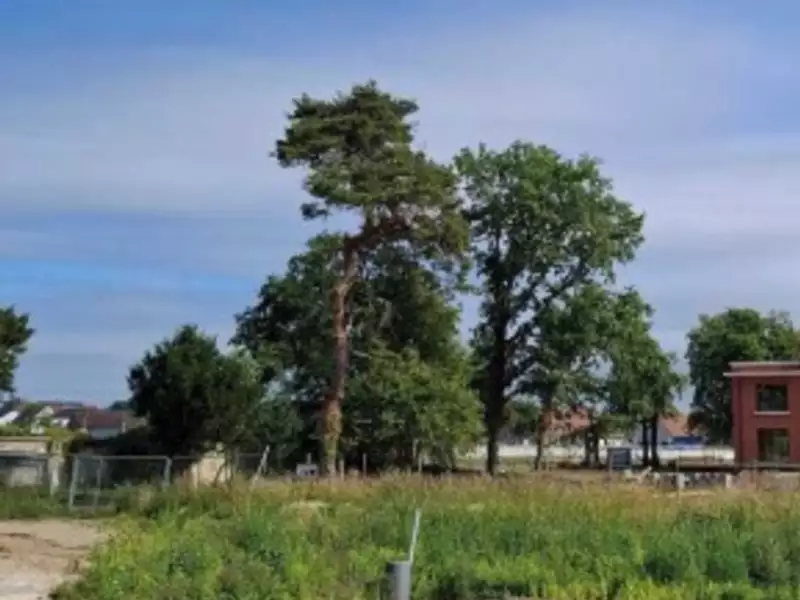 Terrain à bâtir, 334 m² - Rang-du-Fliers (62180)